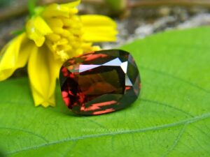 Ceylon Natural Brown Zircon
