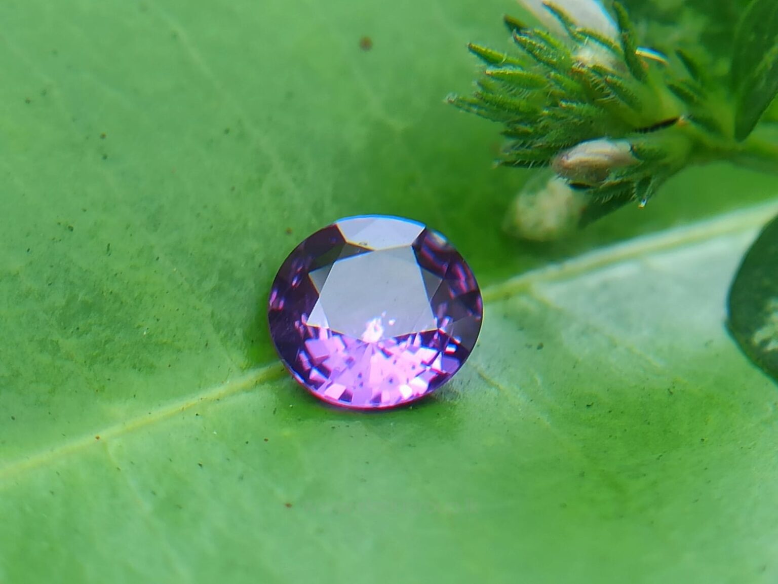 Ceylon Natural Purple Sapphire Round