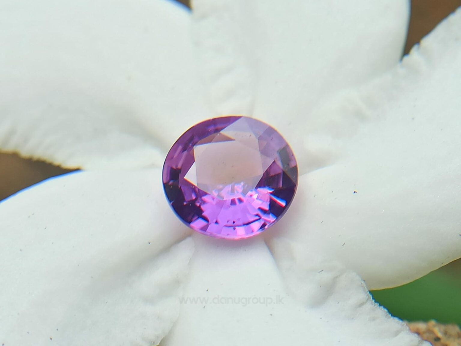 Ceylon Natural Purple Sapphire Round