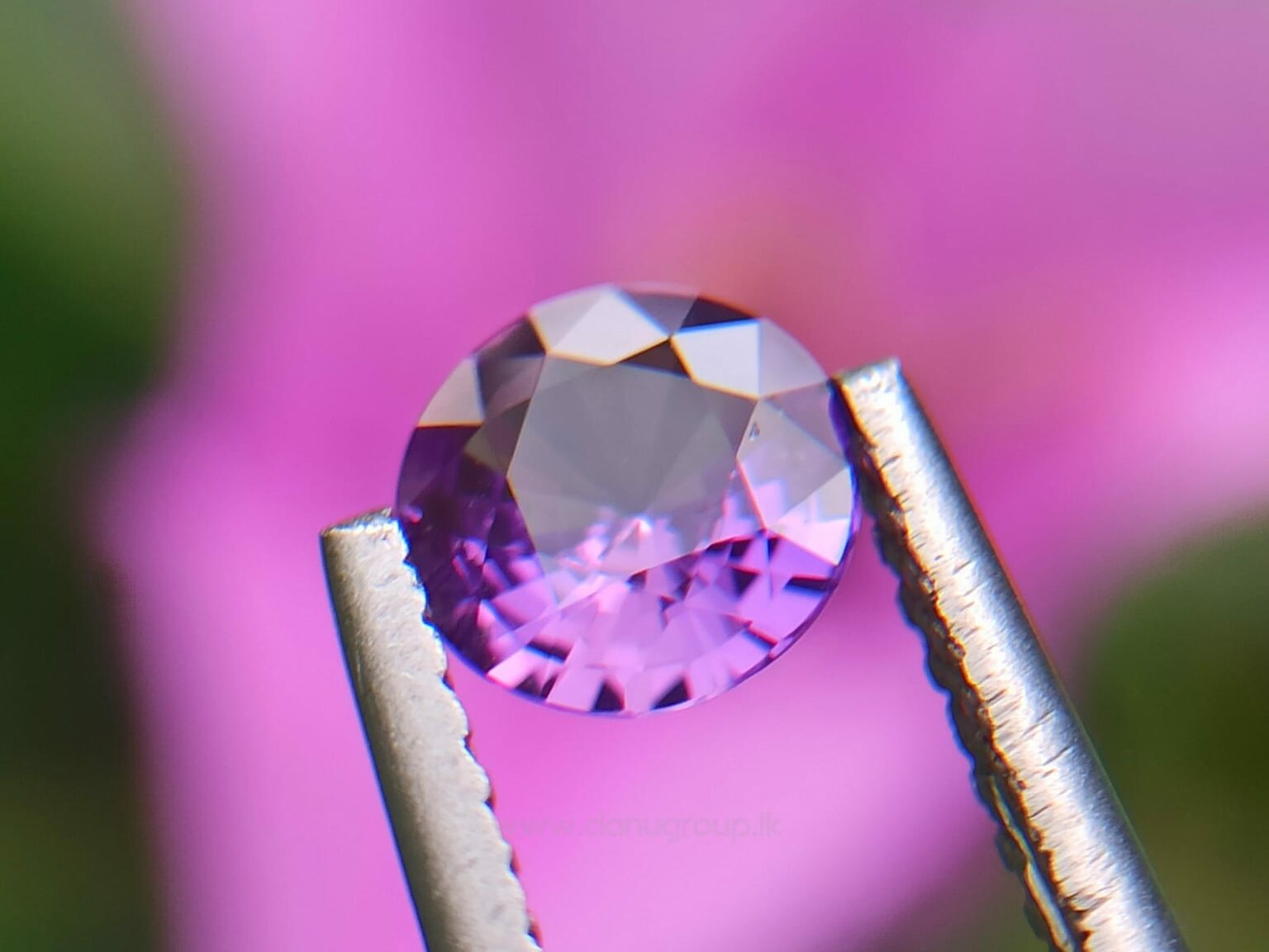 Ceylon Natural Purple Sapphire Round