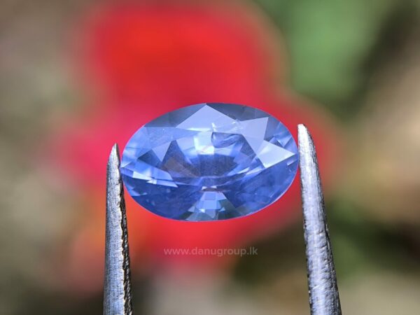 Ceylon Natural Blue Sapphire