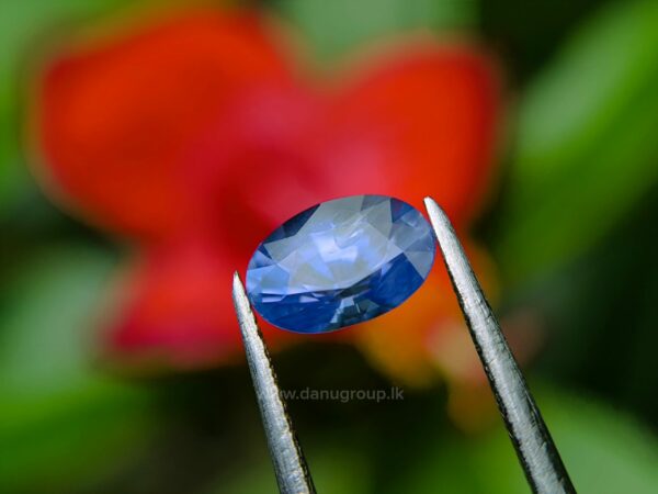 Ceylon Natural Blue Sapphire
