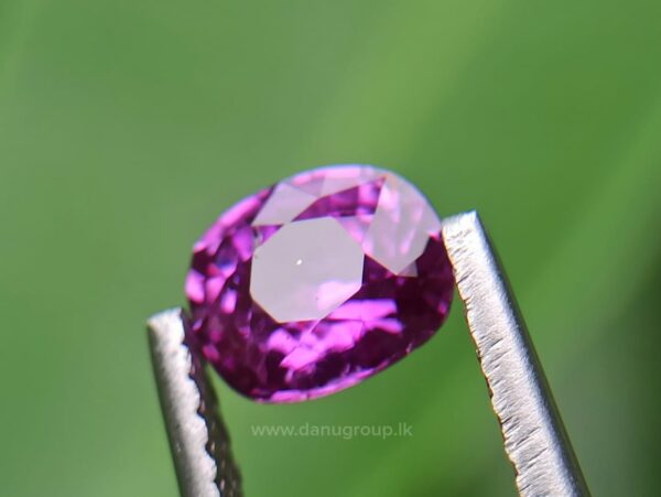 Ceylon Natural Purplish-Pink Sapphire
