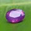 Natural Purplish Pink Sapphire