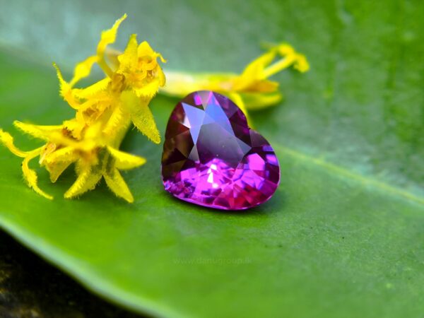 Ceylon Natural Hot Pink Sapphire Heart