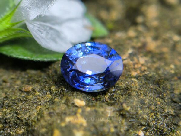 Ceylon Natural Cornflower Blue Sapphire