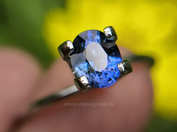 Ceylon Natural Cornflower Blue Sapphire