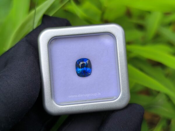 Ceylon Vivid Royal Blue Sapphire