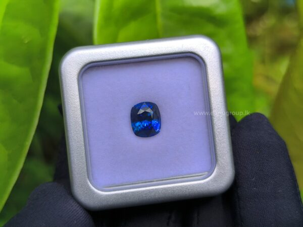 Ceylon Vivid Royal Blue Sapphire