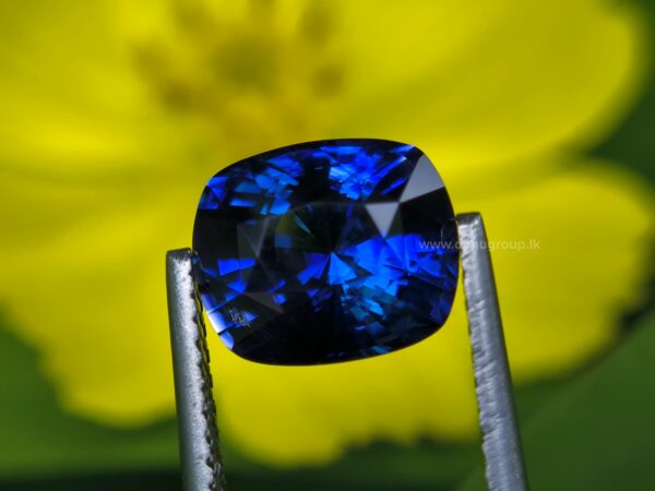 Ceylon Vivid Royal Blue Sapphire