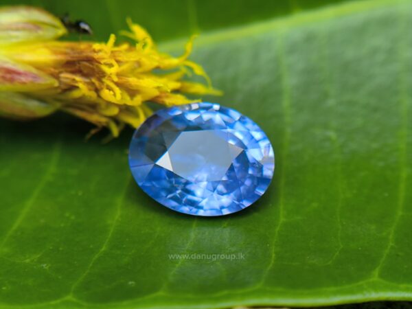 Ceylon Natural Blue Sapphire