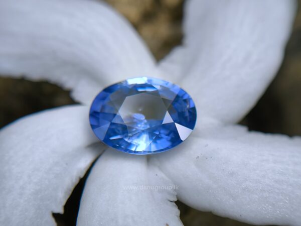 Ceylon Natural Blue Sapphire