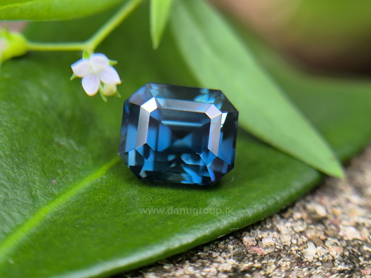 Teal Sapphire