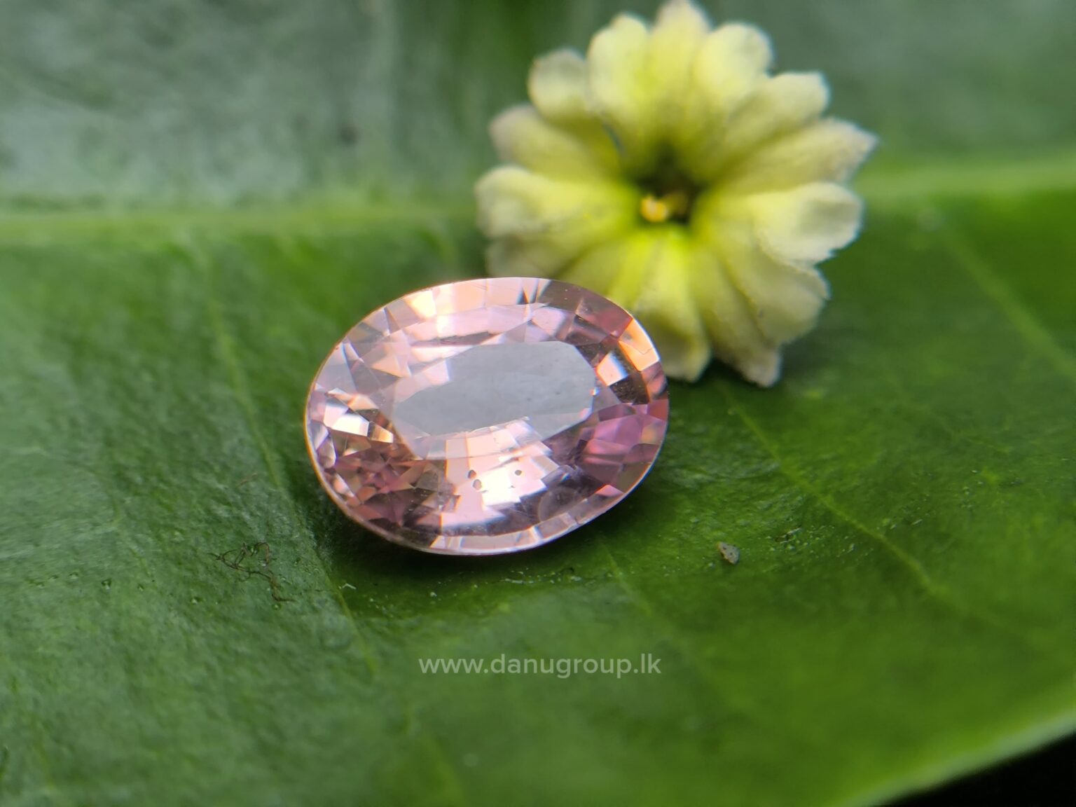 Ceylon Natural Padparadscha Sapphire