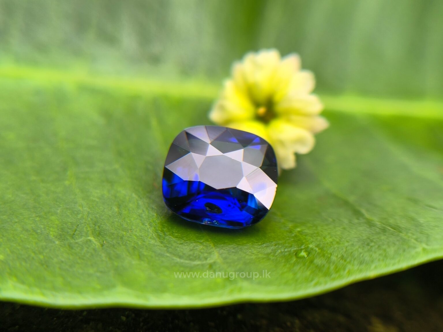 Ceylon Vivid Royal Blue Sapphire