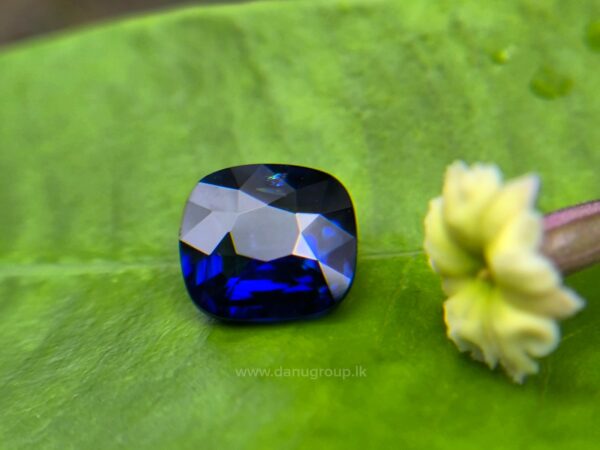 Ceylon Vivid Royal Blue Sapphire