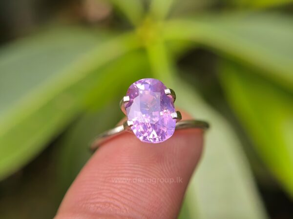 CEYLON NATURAL PURPLISH PINK SAPPHIRE - Image 10