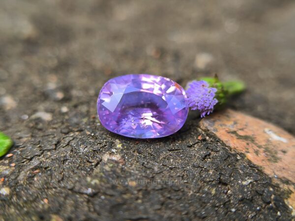 CEYLON NATURAL PURPLISH PINK SAPPHIRE - Image 15