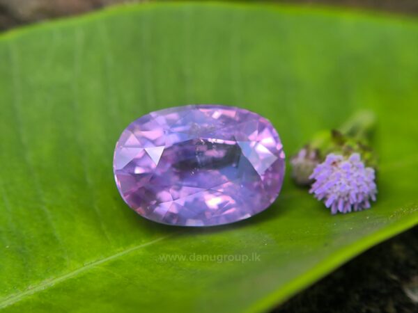 CEYLON NATURAL PURPLISH PINK SAPPHIRE