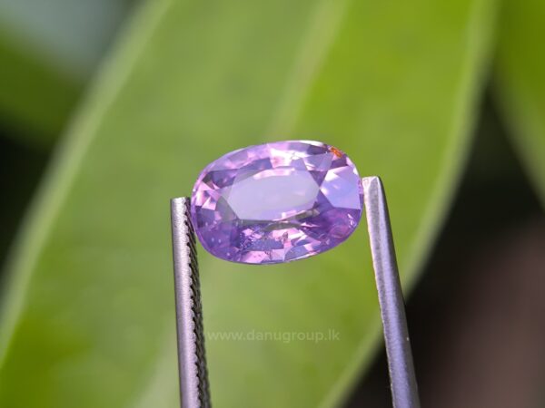 CEYLON NATURAL PURPLISH PINK SAPPHIRE - Image 25