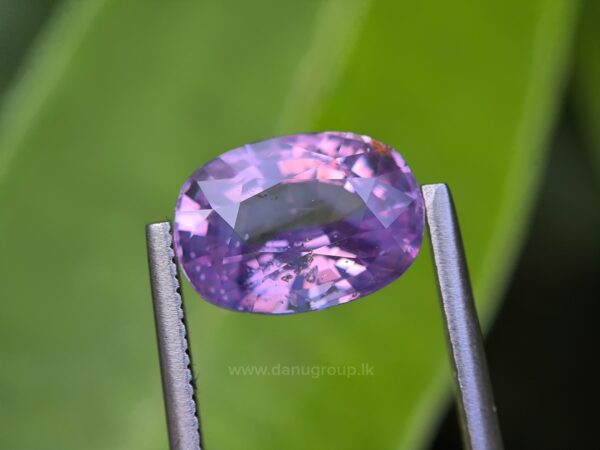 CEYLON NATURAL PURPLISH PINK SAPPHIRE - Image 26