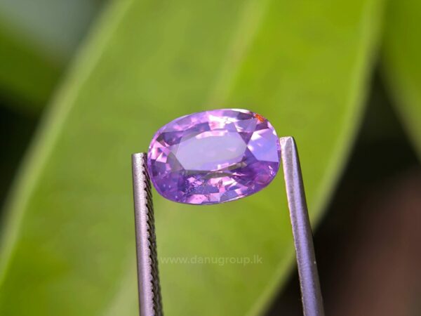 CEYLON NATURAL PURPLISH PINK SAPPHIRE