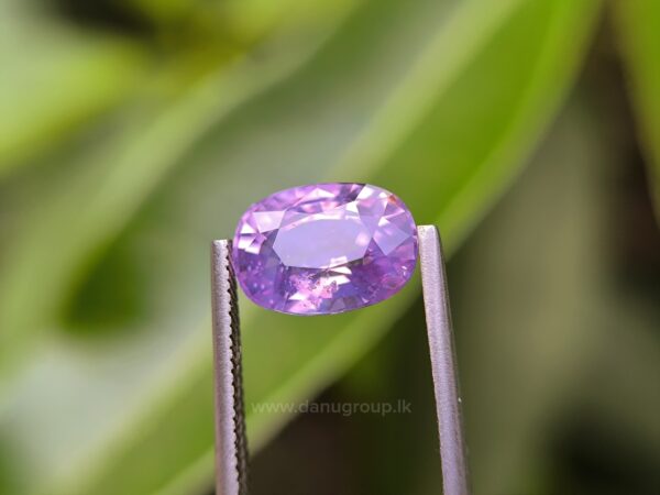 CEYLON NATURAL PURPLISH PINK SAPPHIRE - Image 29