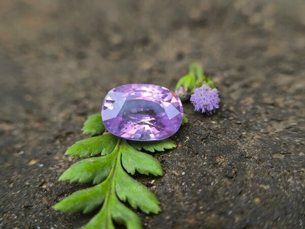 CEYLON NATURAL PURPLISH PINK SAPPHIRE