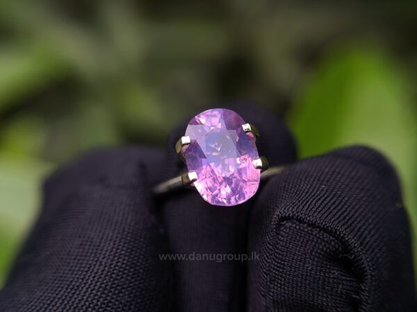 CEYLON NATURAL PURPLISH PINK SAPPHIRE - Image 6