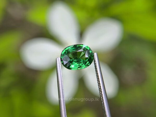 Natural Tsavorite Garnet