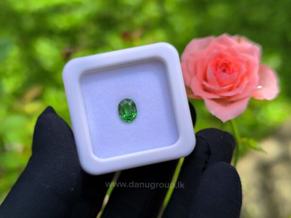 Natural Tsavorite Garnet