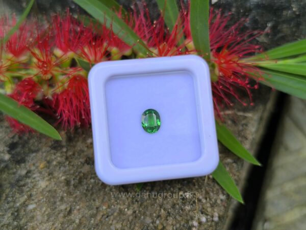 Natural Tsavorite Garnet