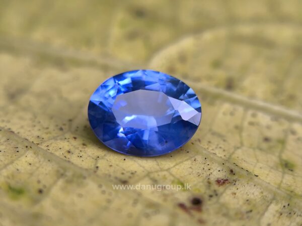 Ceylon Blue Sapphire - Image 16