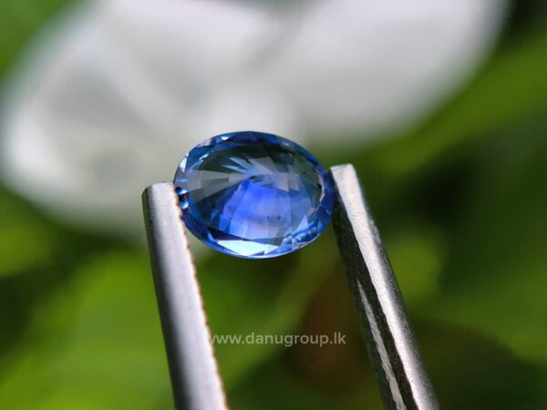 Ceylon Blue Sapphire - Image 19