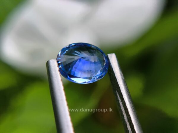 Ceylon Blue Sapphire