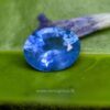 Ceylon Blue Sapphire