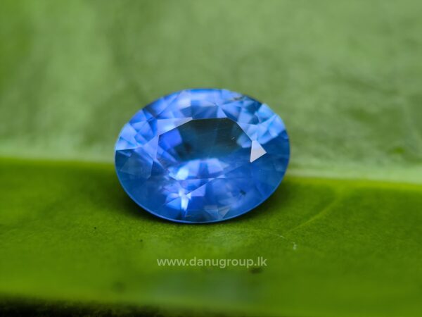 Ceylon Blue Sapphire - Image 24