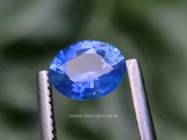 Ceylon Blue Sapphire - Image 30
