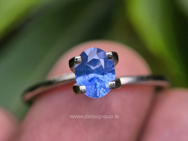 Ceylon Blue Sapphire - Image 6