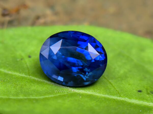 Ceylon Peacock Blue Sapphire - Image 12