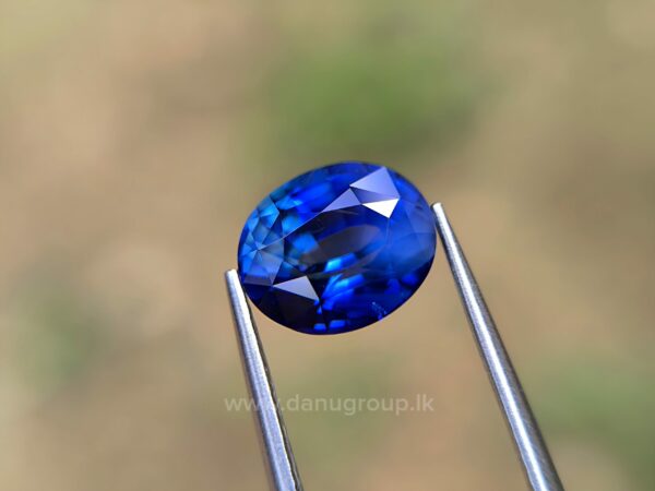 Ceylon Peacock Blue Sapphire