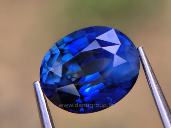 Ceylon Peacock Blue Sapphire - Image 19