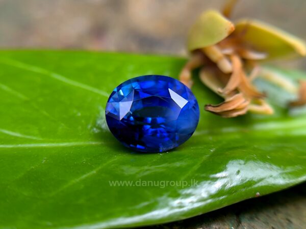 Ceylon Peacock Blue Sapphire