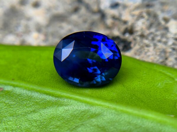 Ceylon Peacock Blue Sapphire