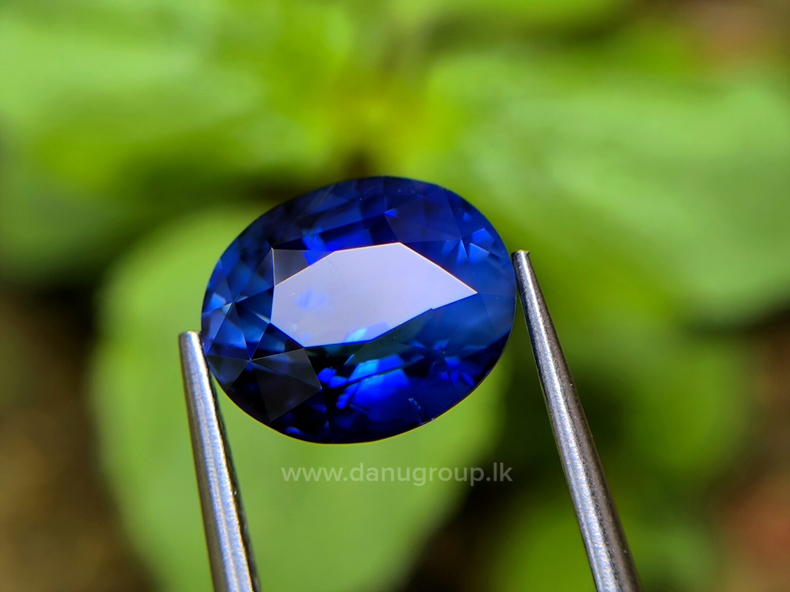 Ceylon Peacock Blue Sapphire