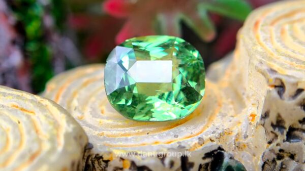 Natural Tsavorite Garnet