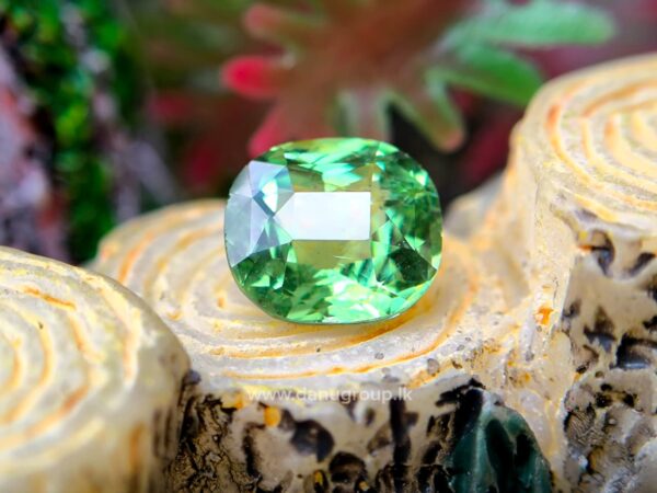 Natural Tsavorite Garnet