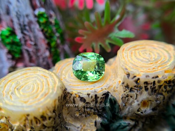 Natural Tsavorite Garnet