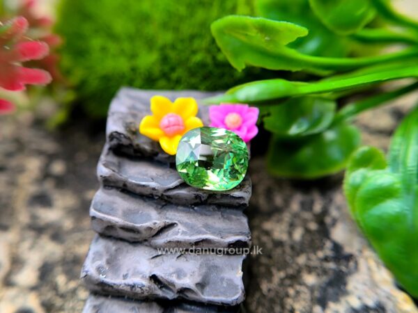 Natural Tsavorite Garnet