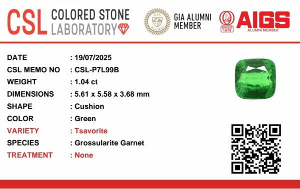 Natural Tsavorite Garnet - Image 24